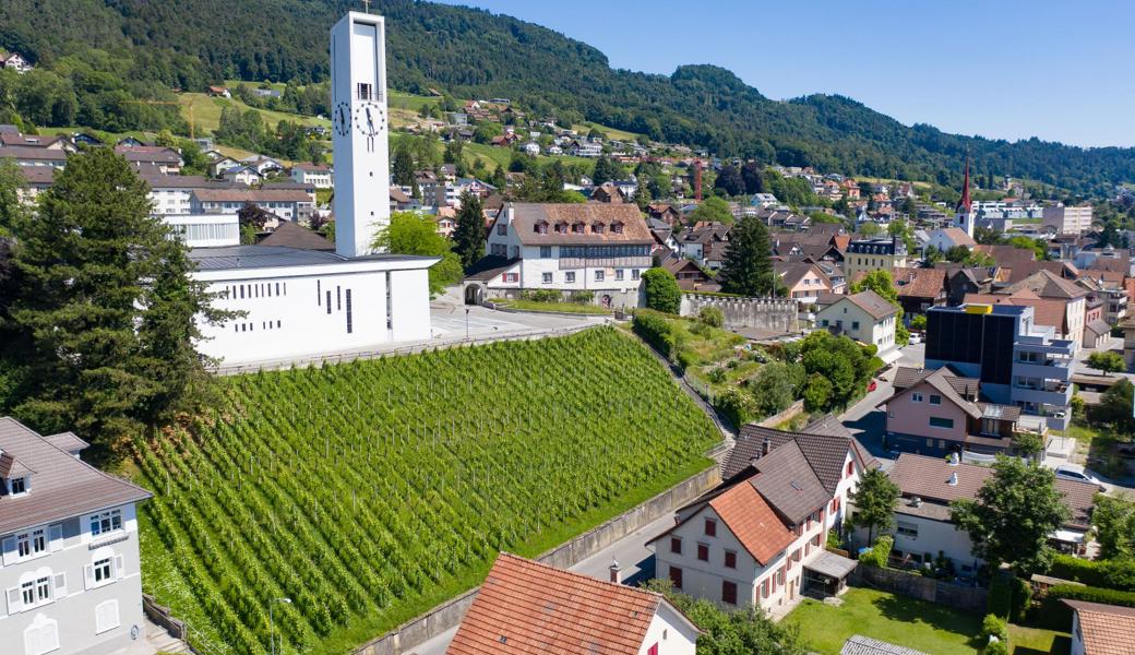 Im Jahr 2019 lebten in Rebstein über 4500 Menschen. 2,6 Prozent der Bevölkerung oder knapp 120 Personen haben Sozialhilfe von der Gemeinde bezogen.