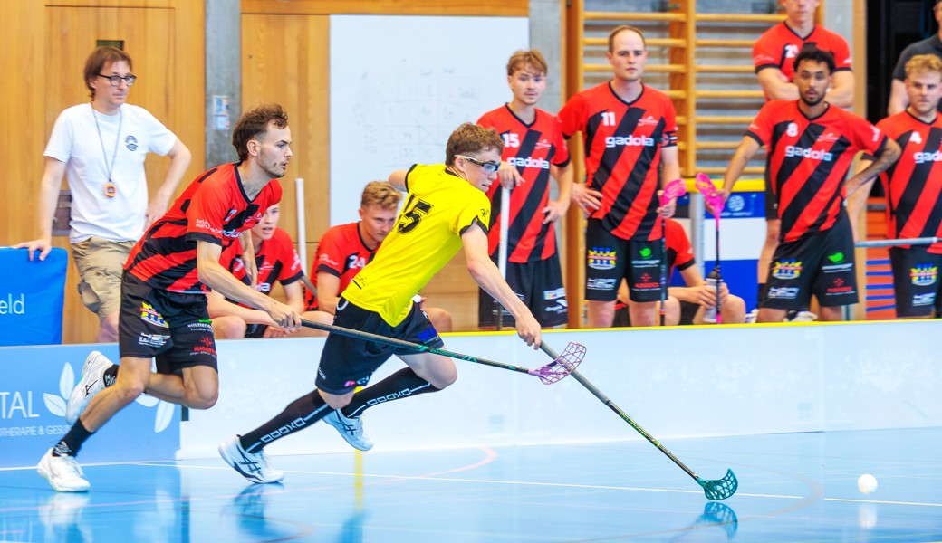 Rheintal Gators im Cup souverän eine Runde weiter