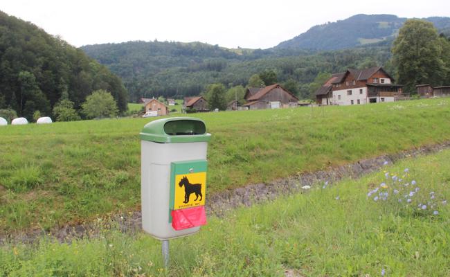 Keine zusätzlichen Robidogs