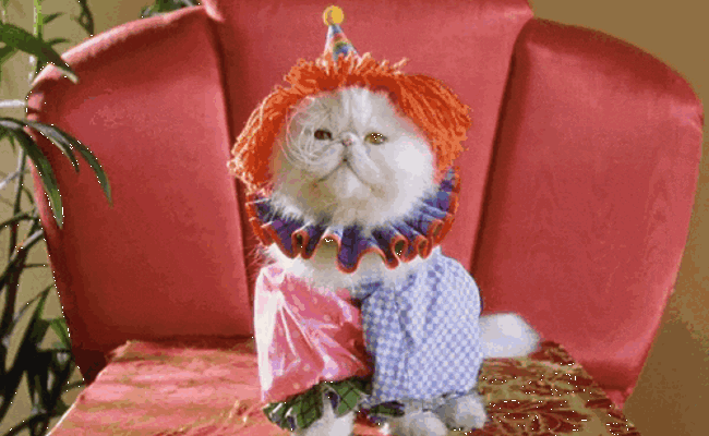 Grösster Maskenball der Ostschweiz, Popkonzert und Musikunterhaltung - das läuft am Wochenende