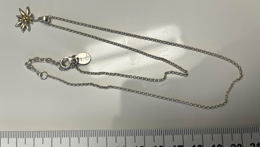 Sicherstellung E 1.24 Halskette.
