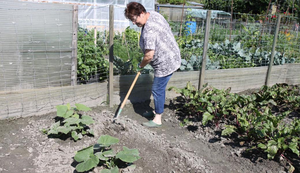 Judith Fink hatte bereits im Gebiet Zinggen einen Garten.