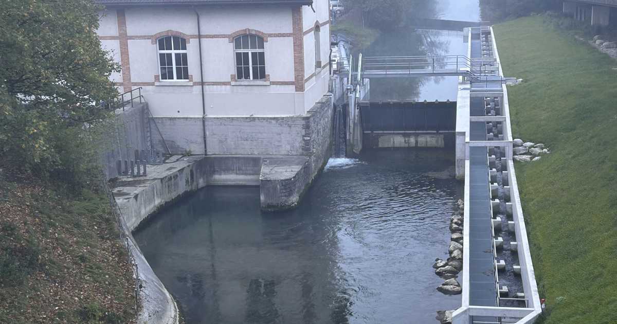 Neue Fischtreppe Sak Verbessert Fischwanderung Am Binnenkanal Der Rheintaler 