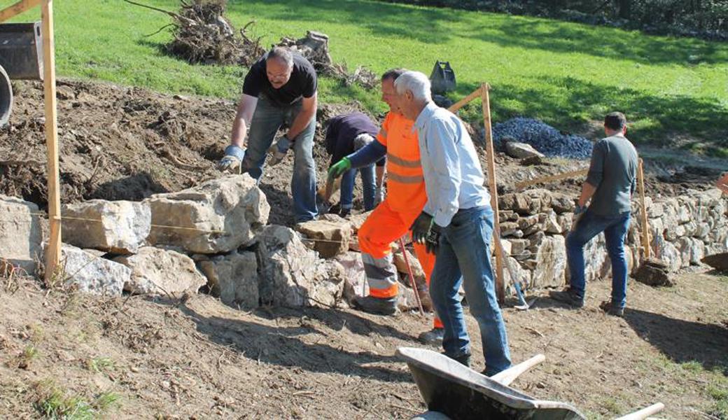 Unter der Leitung von Hubert Schneider (in oranger Berufskleidung) lernten die Teilnehmenden am Oberrieter Blattenberg, wie eine Trockenmauer gebaut wird.