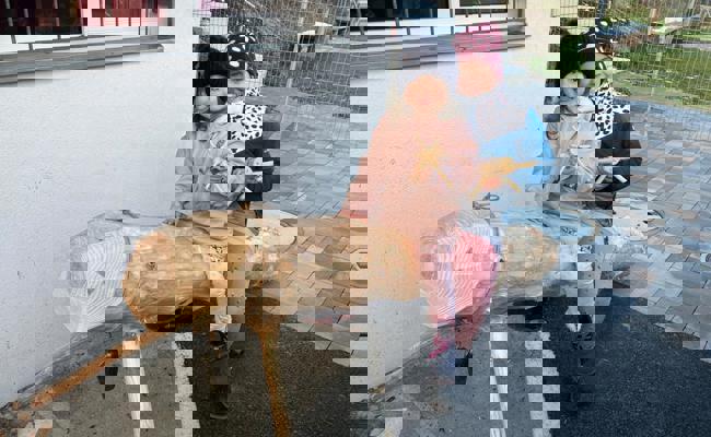 «Beechüe» schnitzen im Jugend- und Erlebnishaus Eichberg