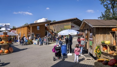 Von Hof zu Hof im Rheintal: Landwirtschaft direkt erleben