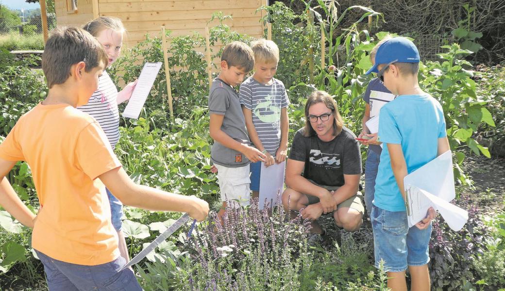 Motivieren für die Arbeit und das Erforschen des Lerngartens braucht Lehrer Christoph Naef die Kinder nicht. Sie sind voller Interesse dabei und lernen nicht nur viel über Kräuter- und Gemüsepflanzen, sondern auch über die Insekten und Amphibien, die sich im Lerngarten angesiedelt haben. 