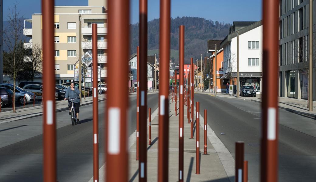 Die Stangen, eine Widnauer Besonderheit im Tal, werden bleiben. Egal, wer ins Gemeindepräsidium gewählt wird. 