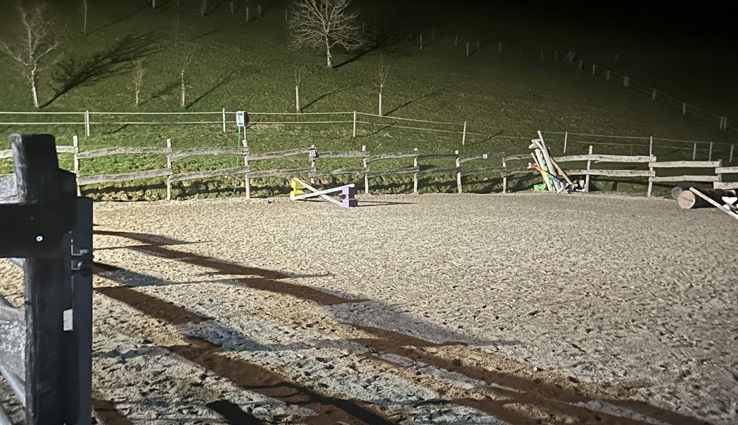 Eine 19-Jährige fällt beim Reittraining vom Pferd und verletzt sich schwer
