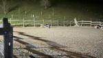 Eine 19-Jährige fällt beim Reittraining vom Pferd und verletzt sich schwer