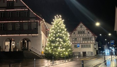 Zwei Tage lang gibt es einen Weihnachtszauber auf der Hirschenwiese