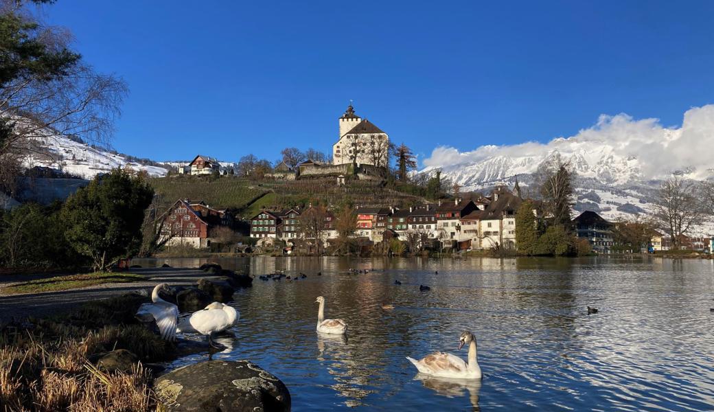 Das Werdenberg darf sich über ein neues Onlineportal freuen.