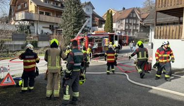 Intensiver Kadertag: Die Oberrheintaler Feuerwehren rüsten sich für den Ernstfall