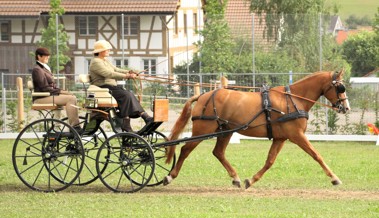 Zwei Fahrsporttage zum Jubiläum auf der Oberrieter Birkenau