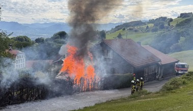 Gartenhaus in Wolfhalden gerät in Vollbrand – Feuerwehr ist rasch zur Stelle
