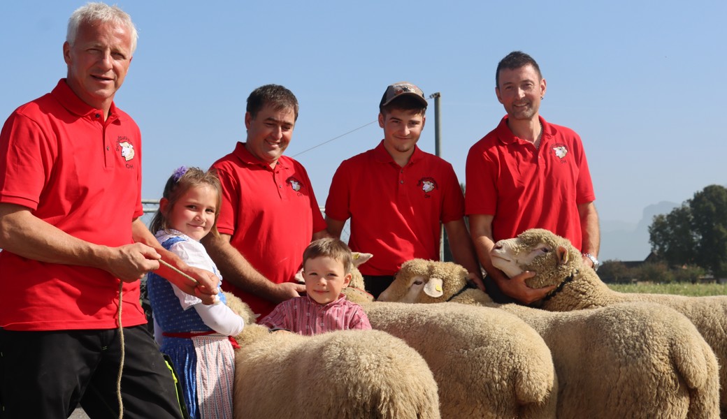 Vom Schwarznasenschaf bis zum Lamm: 150 Schafe an Schau präsentiert
