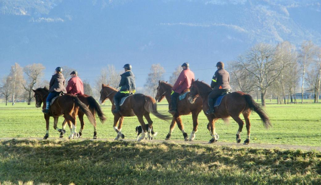 Sie starteten hoch zu Ross ins 2022.