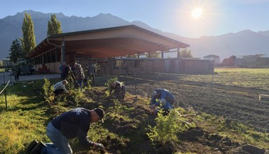 Ökologische Aufwertung: 320 Sträucher für mehr Artenvielfalt