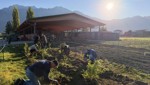 Ökologische Aufwertung: 320 Sträucher für mehr Artenvielfalt