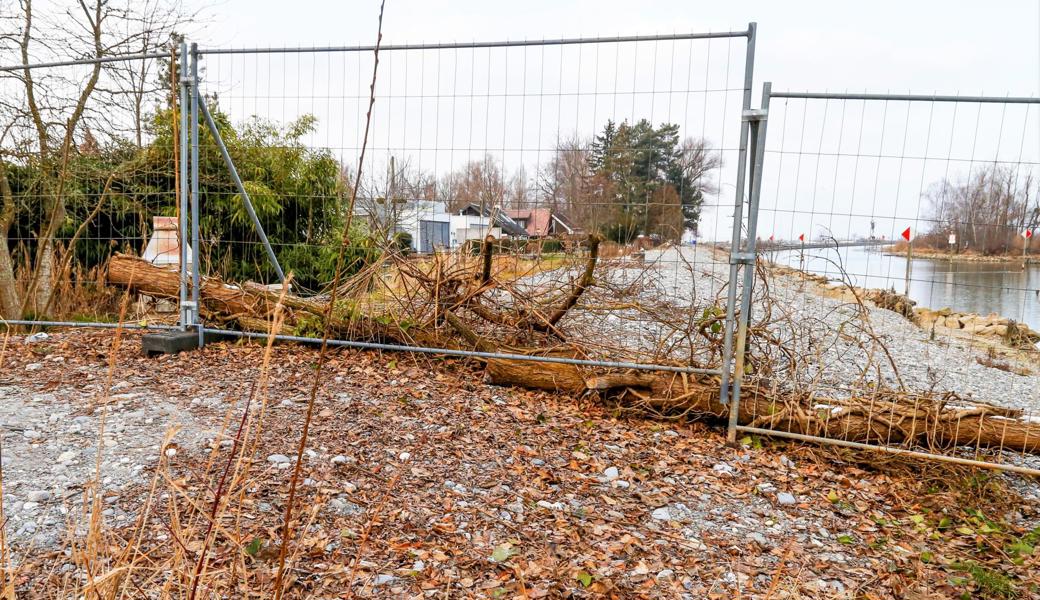 Die Eisenzäune beim Hochwasserschutzdamm in Altenrhein wurden entgegen der Verfügung des Kantons von Unbekannten wieder aufgestellt.