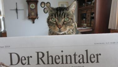 Der Zeitungsleser des Tages