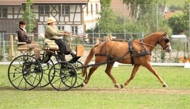 Rheintalische Fahrsporttage am Wochenende in Oberriet