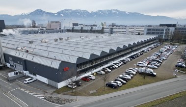 SFS wächst unter anderem wegen Währungseffekten kaum