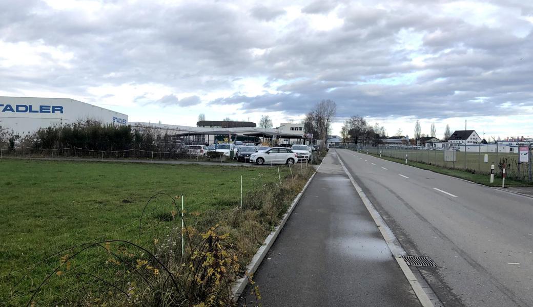 Zwischen dem Kreisel und dem Flugplatz in Altenrhein gibt es keine klare Trennung zwischen Fussgängern und Velofahrern.