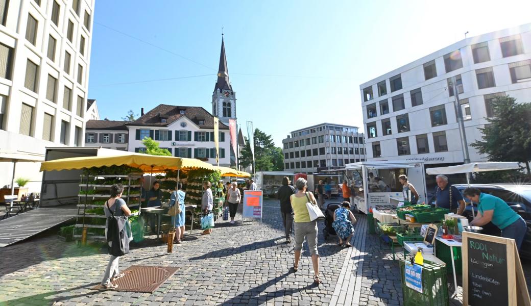 Das Marktstädtli Altstätten ist mit 11891 Einwohnern die grösste Gemeinde des Rheintals.