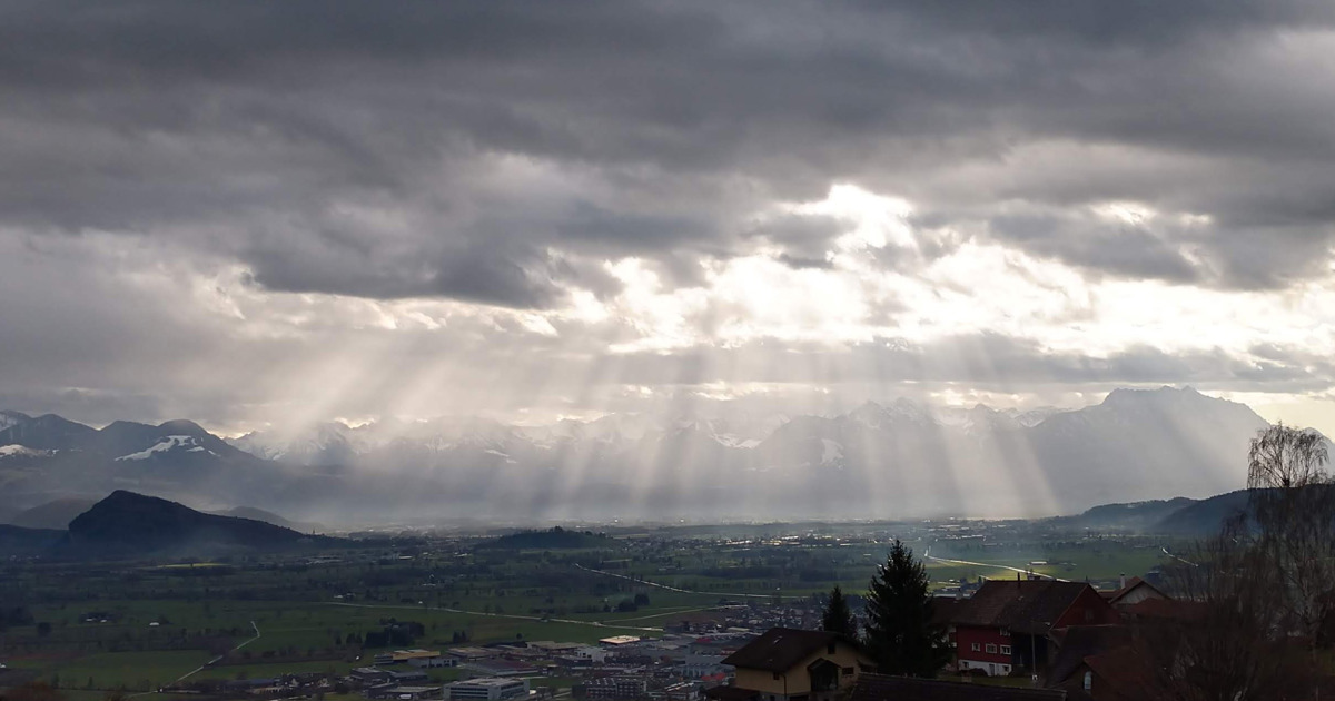 Verregneter Sommer Nie Dagewesen So Feucht Sind Die Böden In Norddeutschland - secblrv