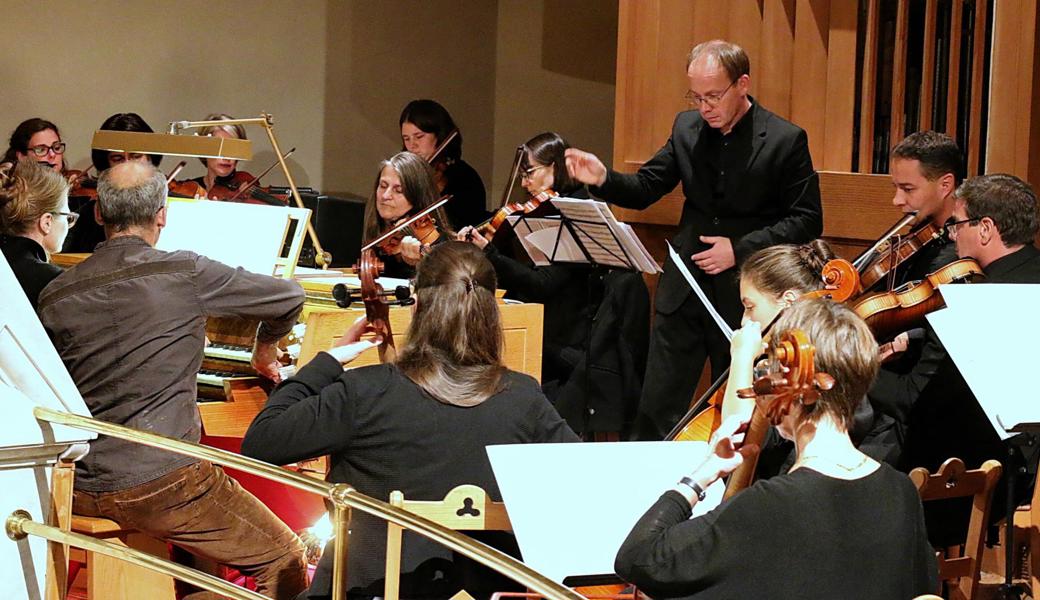 Unter der Leitung von Mathias Kleiböhmer musizierte das Kammerorchester St. Gallen zusammen mit der Organistin Imelda Natter. 