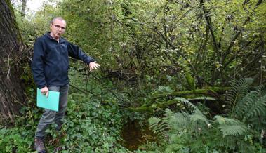 Biotope sollen nass bleiben