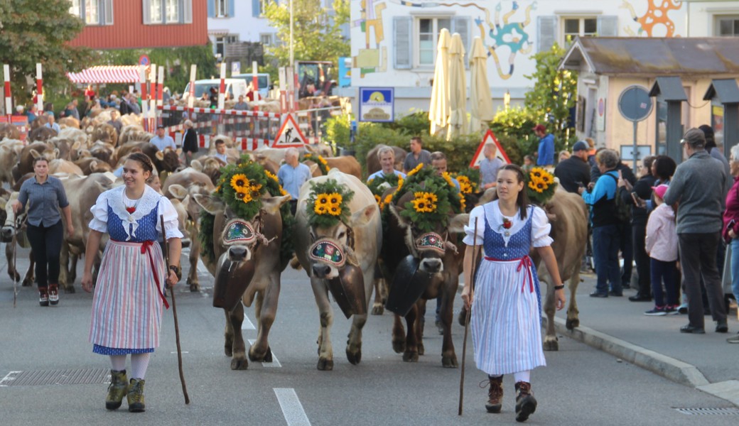 In der Region hat die Viehschau auf der Breite einen besonderem Charakter