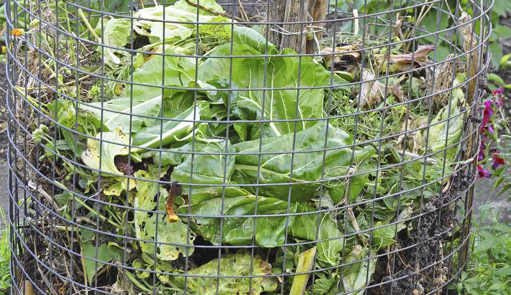 Humus macht den Garten stark: Warum der Kompost im Herbst so wichtig ist