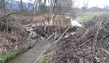 Wärme und Regenarmut ohne Ende