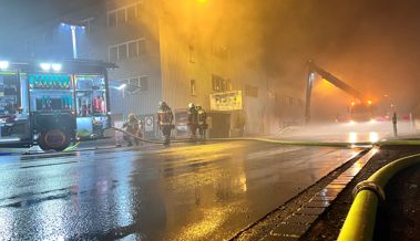 Brand in Recyclingbetrieb: Rauch über dem ganzen Ort, Tempo 60 auf der Autobahn