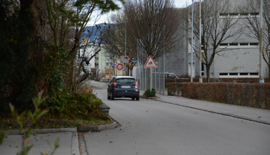 «Insel mit Baum» soll Verkehr an Brändlistrasse beruhigen