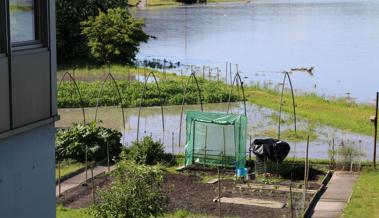 Rhein erreicht Höchststand