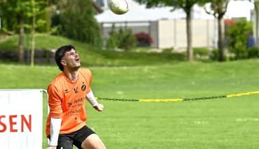 Kein Rheintaler Team am «Final 4»: Auch Faustball Widnau out