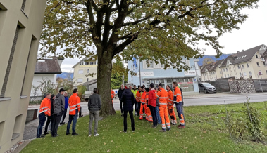 Strassen- und Siedlungsbäume: Rheintaler Gemeindemitarbeitende bilden sich weiter