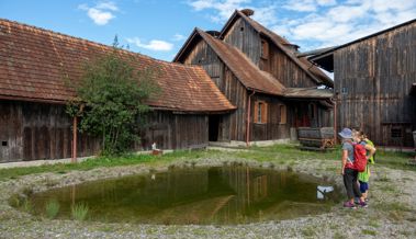 «Wildwestgefühle im Rheintal»: Städter entdecken die Schollenmühle