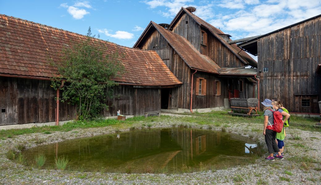 «Wildwestgefühle im Rheintal»: Städter entdecken die Schollenmühle