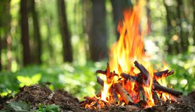 Waldbrandgefahr gesunken: Kanton hebt Feuer- und Feuerwerksverbot auf