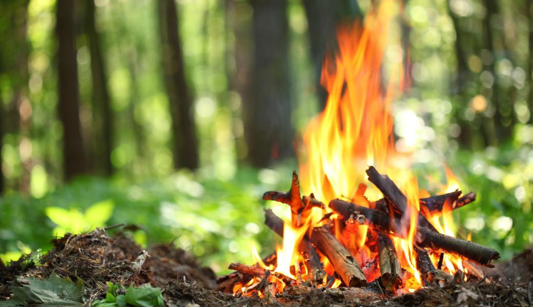 Das Feuer machen im Wald ist wieder erlaubt.