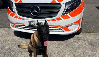 Polizeihund Rio schnappt Täter nach Einbruch in Einfamilienhaus