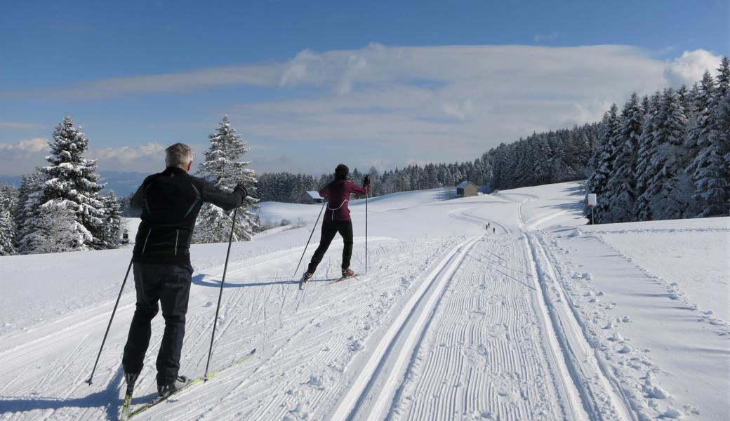 Die Panoramaloipe zwischen Heiden und Rehetobel ist eine der schönsten im Appenzellerland. Sie ist aber nur etwas für Könner.