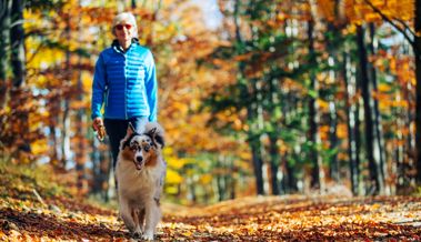 «Der tut nichts» reicht nicht: So entschärfen Hundehalter und Spaziergänger brenzlige Situationen