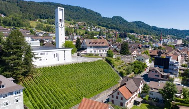 Reben in Privatgärten: Rebstein will zum Jubiläum eine Tradition wiederbeleben