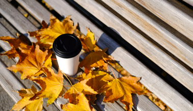 Jedes Jahr wieder: Voller Einsatz für das perfekte Herbst-Insta-Bild