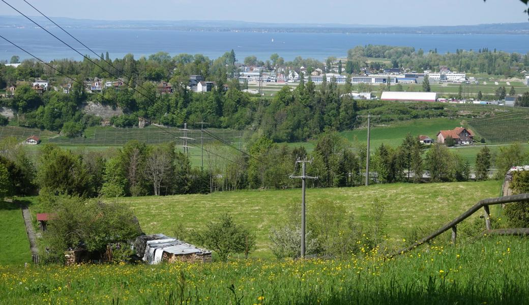 Die Leitungen versperren nicht mehr die Sicht auf den Bodensee (das Bild entstand vor zwei Jahren).